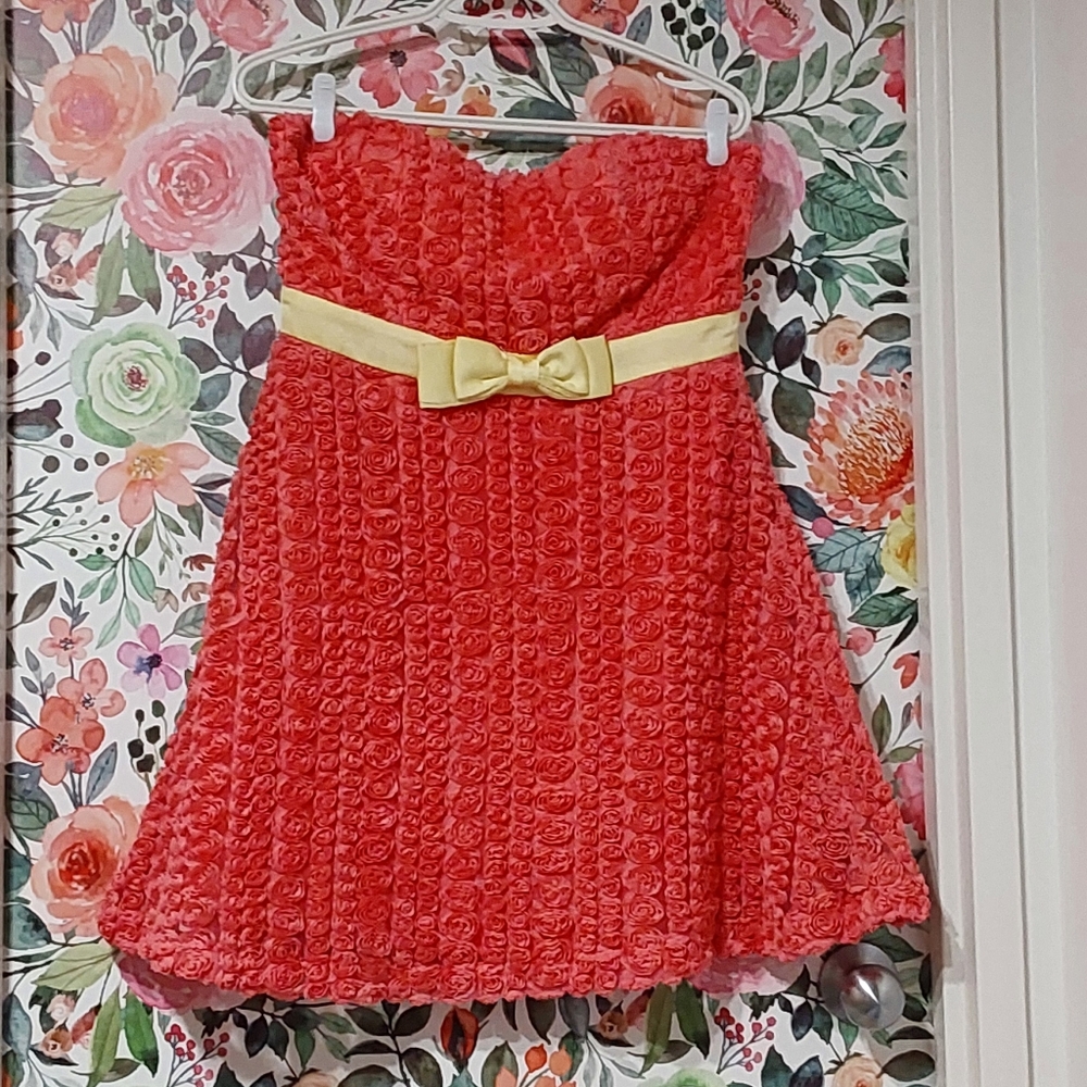 NWT Minuet Pink Floral Dress with Light Yellow Bow, Size Small